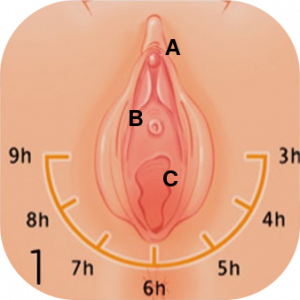 tu matrona masaje perineal 1