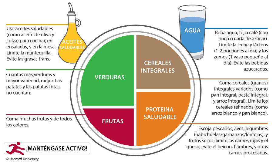 el plato de hardvard - tu matrona